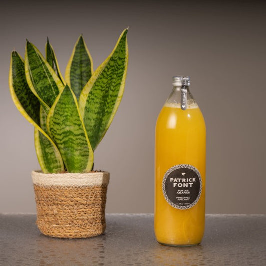 Nectar ananas 1l - Patrick Font
